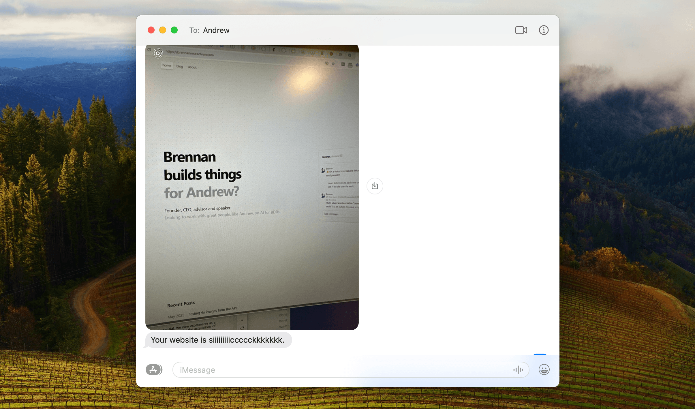 A text from a fellow CEO showing a screenshot of my homepage with his name in the headline.